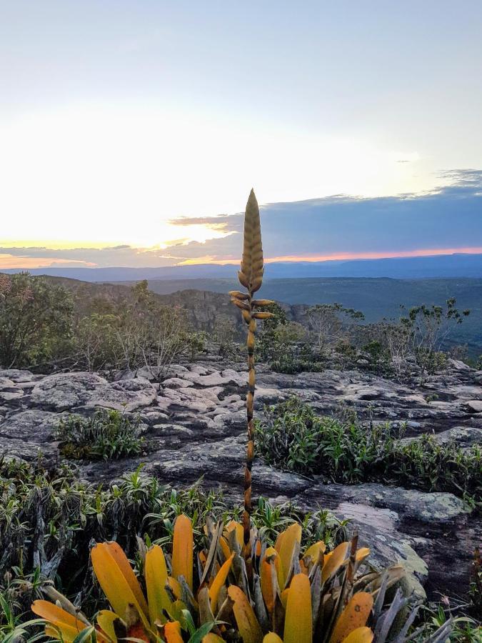 Pitaya Rosa Pousada Lencois Eksteriør bilde